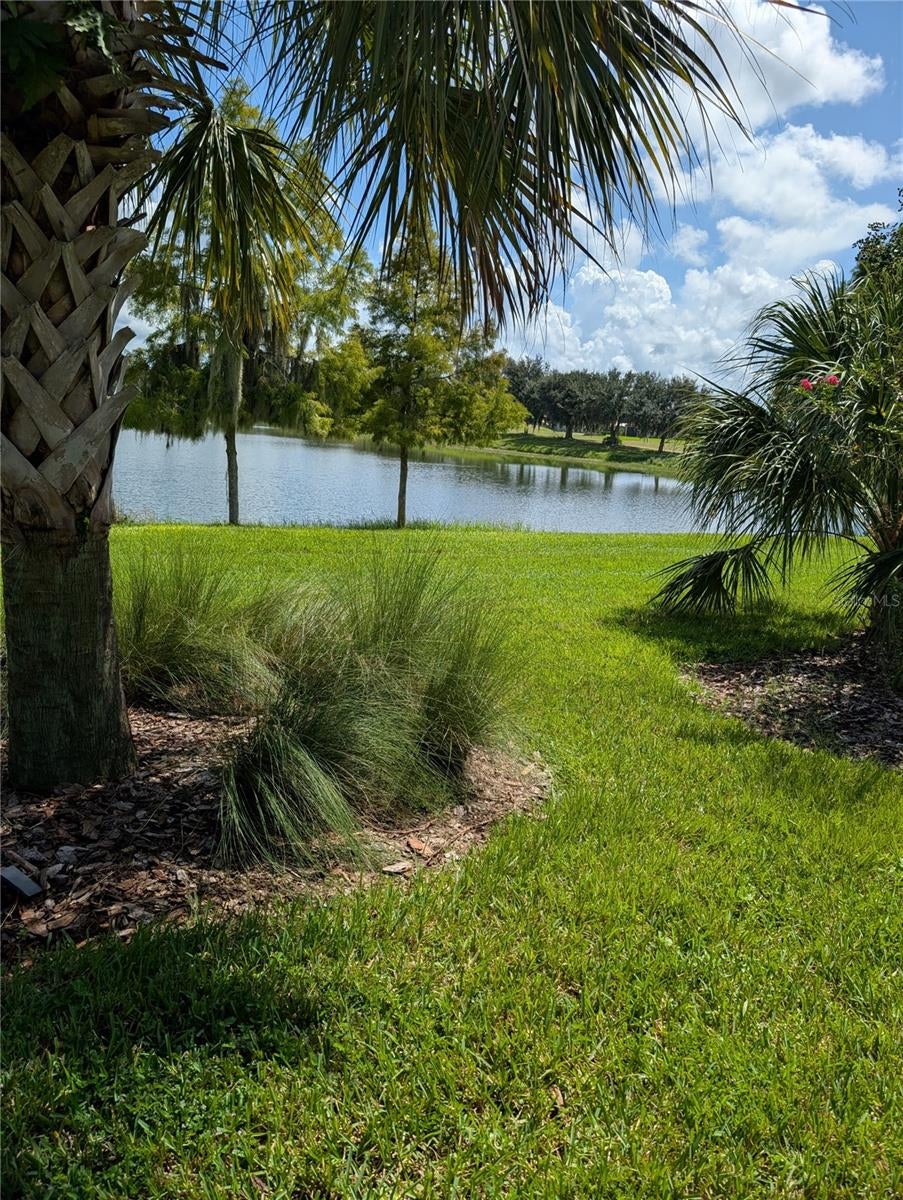 2358 PALM TREE DRIVE