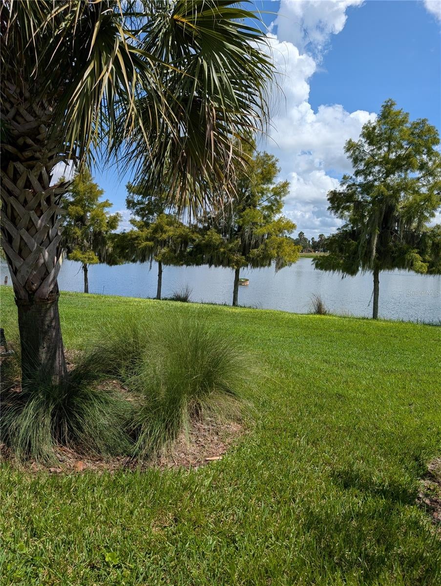 2358 PALM TREE DRIVE