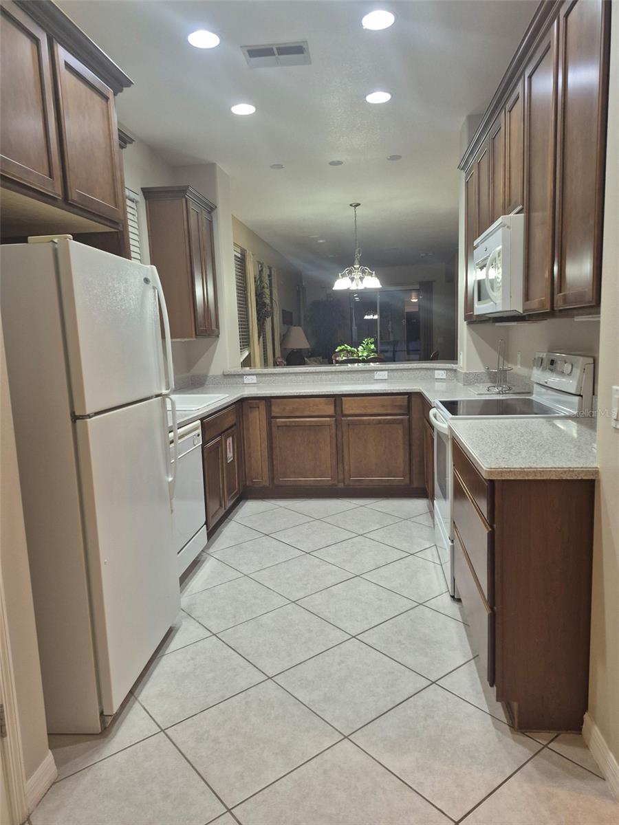 2358 PALM TREE DRIVE