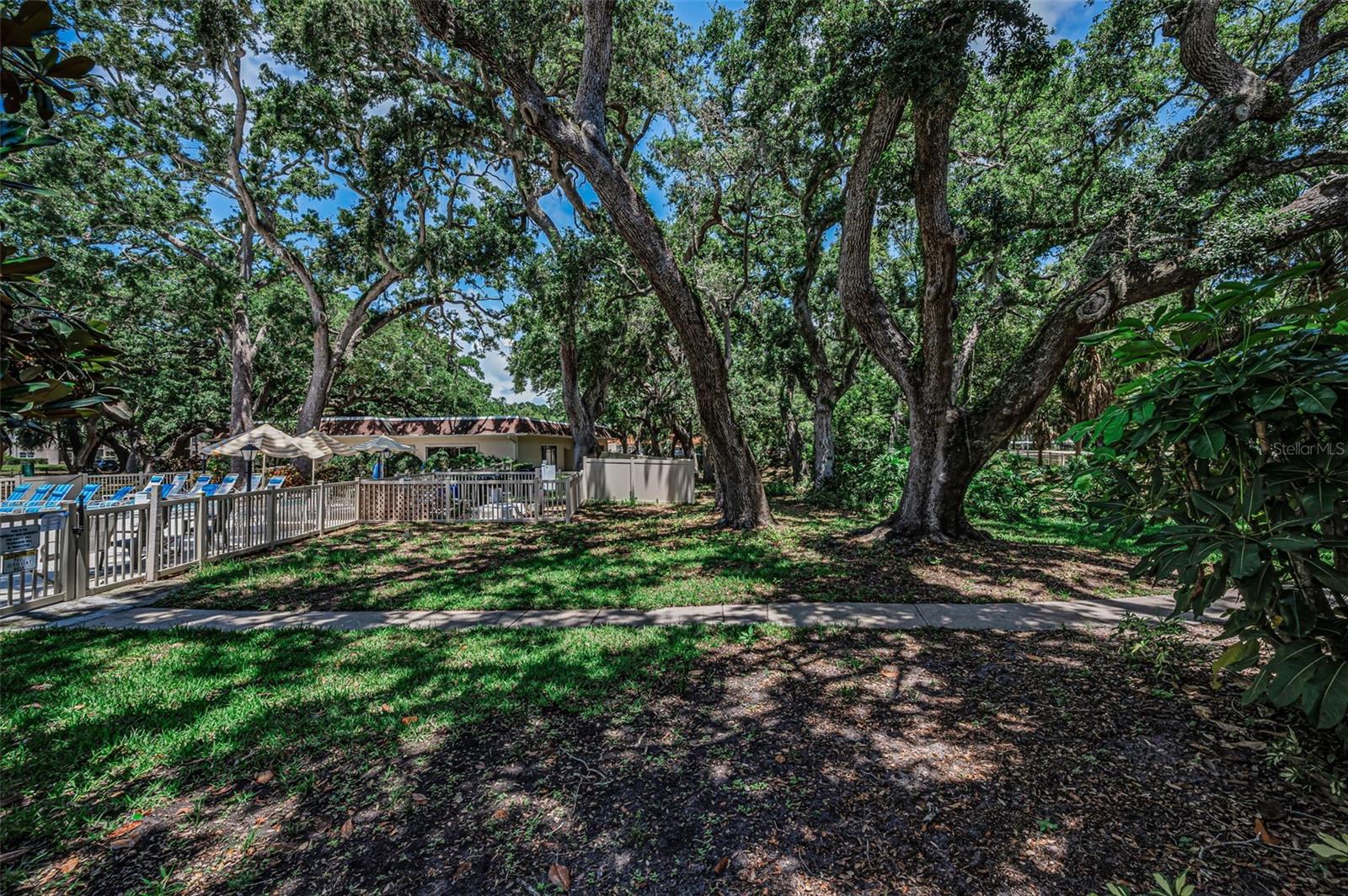 PATRICIAN OAKS - Residential