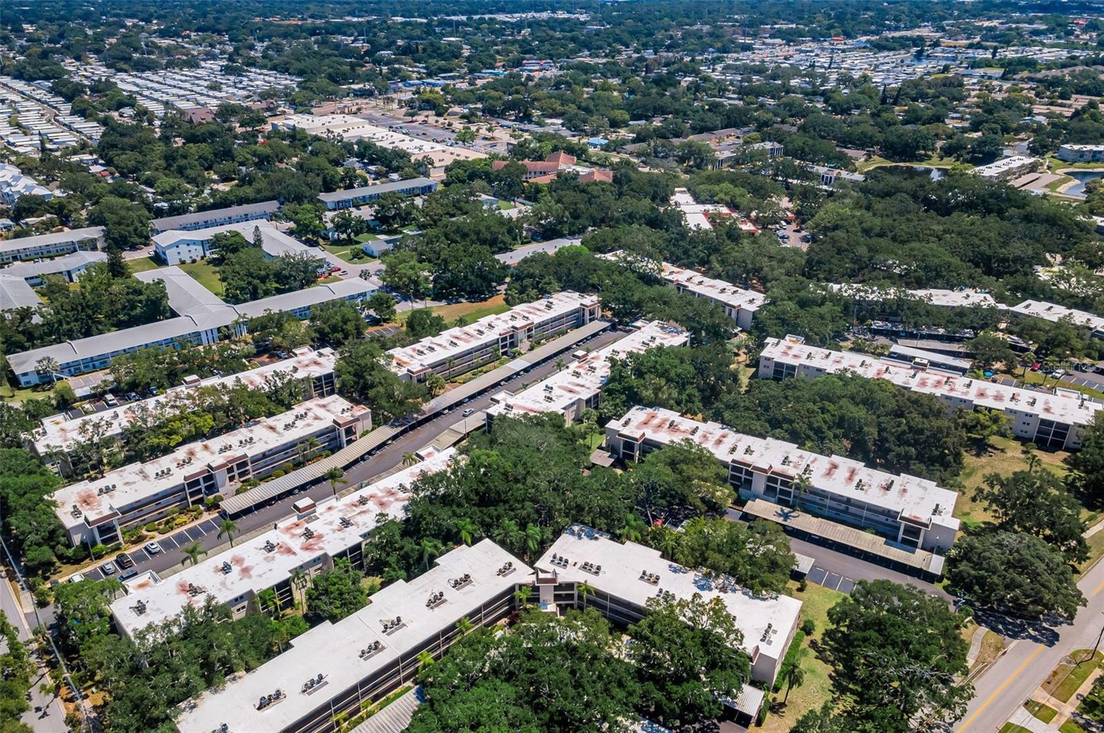 PATRICIAN OAKS - Residential