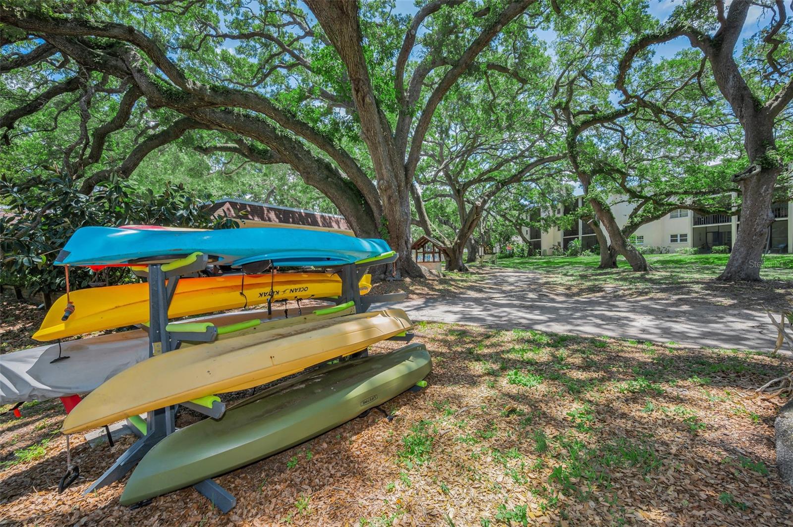 PATRICIAN OAKS - Residential