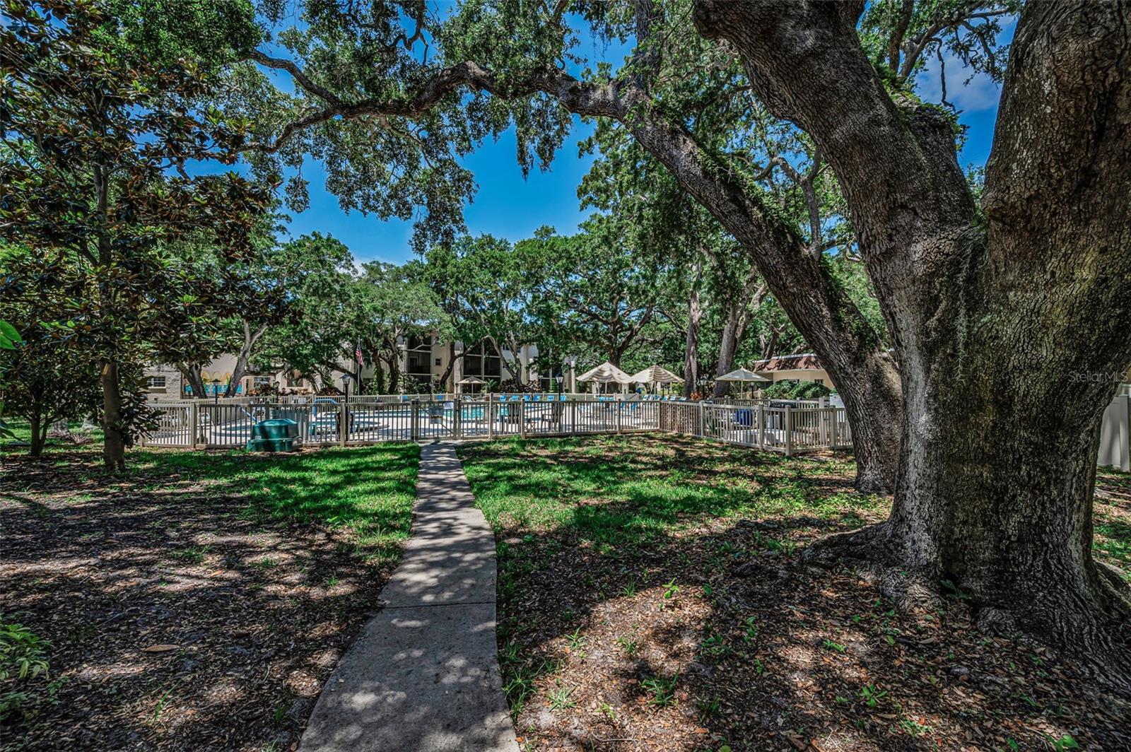 PATRICIAN OAKS - Residential