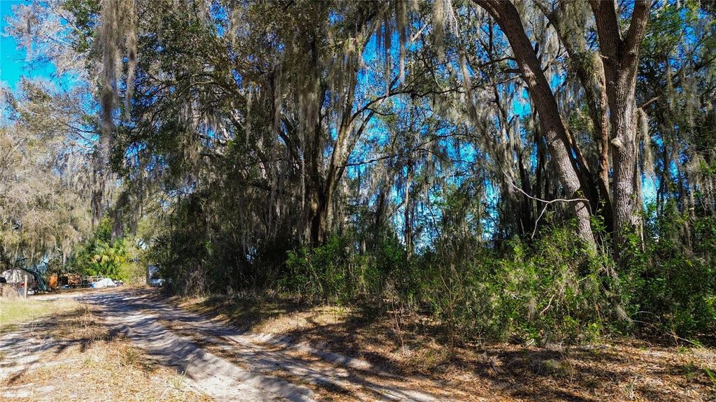 Photo of 39725 Clay Avenue N, Lady Lake, FL 32159 (MLS # OM719027)