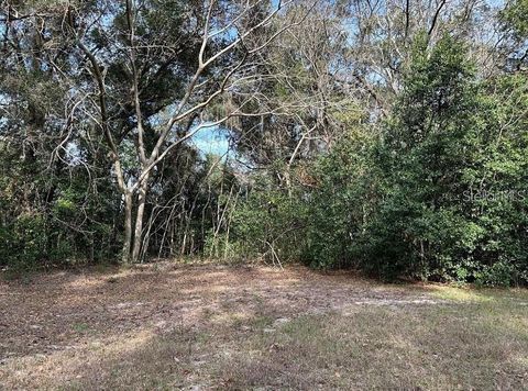 Tiny photo for 39725 Clay Avenue N, Lady Lake, FL 32159 (MLS # OM719027)
