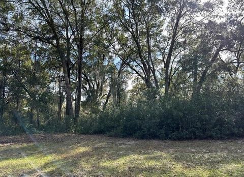 Tiny photo for 39725 Clay Avenue N, Lady Lake, FL 32159 (MLS # OM719027)