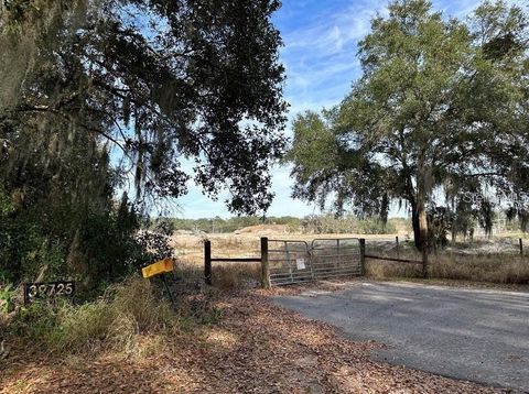 Tiny photo for 39725 Clay Avenue N, Lady Lake, FL 32159 (MLS # OM719027)