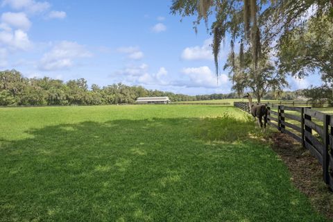 Tiny photo for 35520 Timbertop Lane, Fruitland Park, FL 34731 (MLS # G5109727)