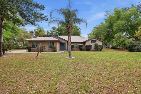 Photo of 1028 Collins Avenue, Orange City, FL 32763 (MLS # V4948090)