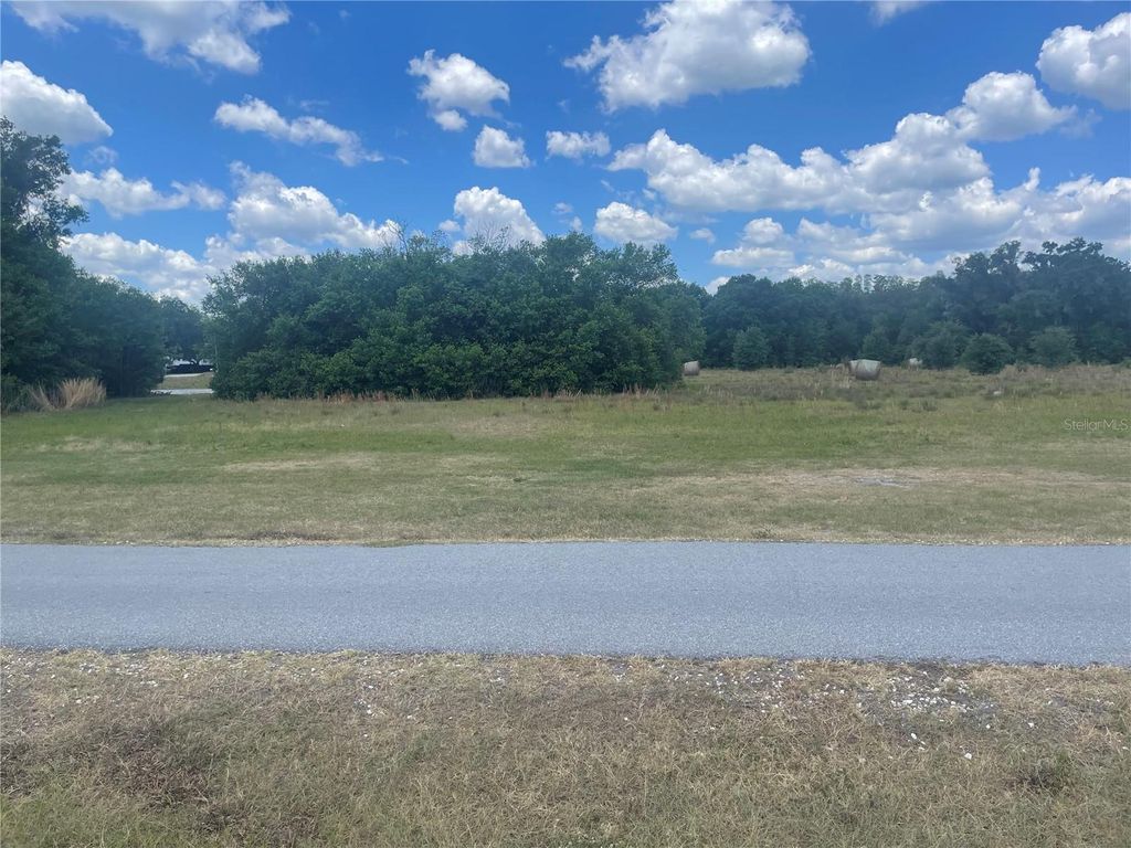 Photo of 101 Lake Hobbs Road, Lutz, FL 33548 (MLS # TB8316700)