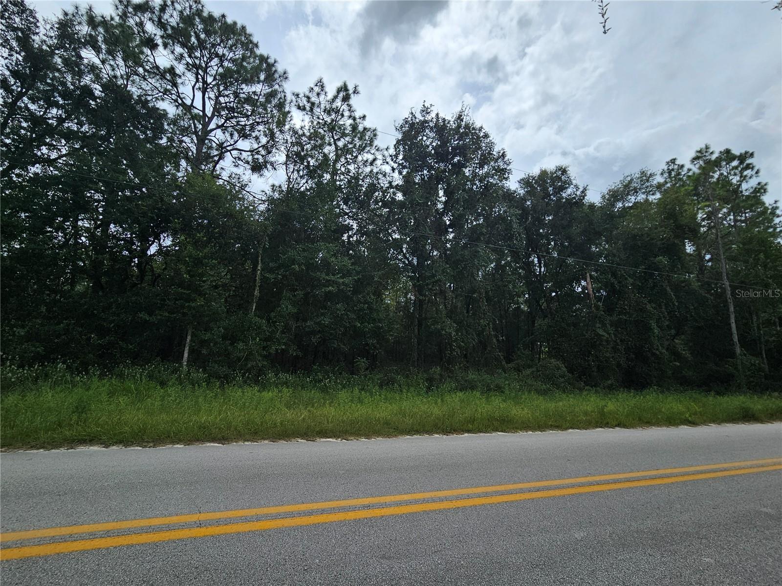 1.25 ACRES ON A PAVED ROAD! Located off Hwy 27A just east of Bronson. Ideal location for your new site-built or manufactured home. No HOA and no time limits to build. No flood zones.