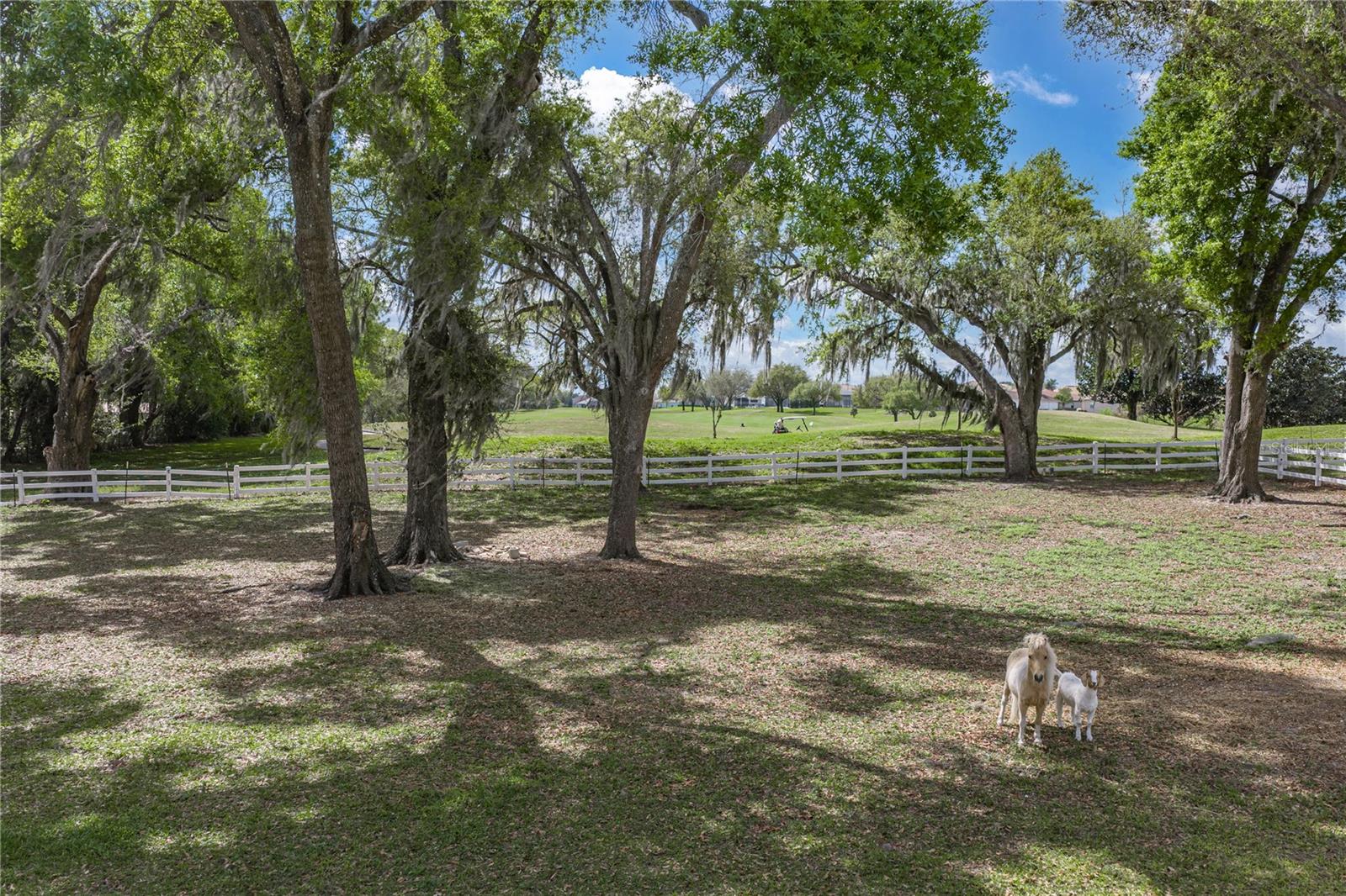 MISSION VALLEY ESTATES - Residential