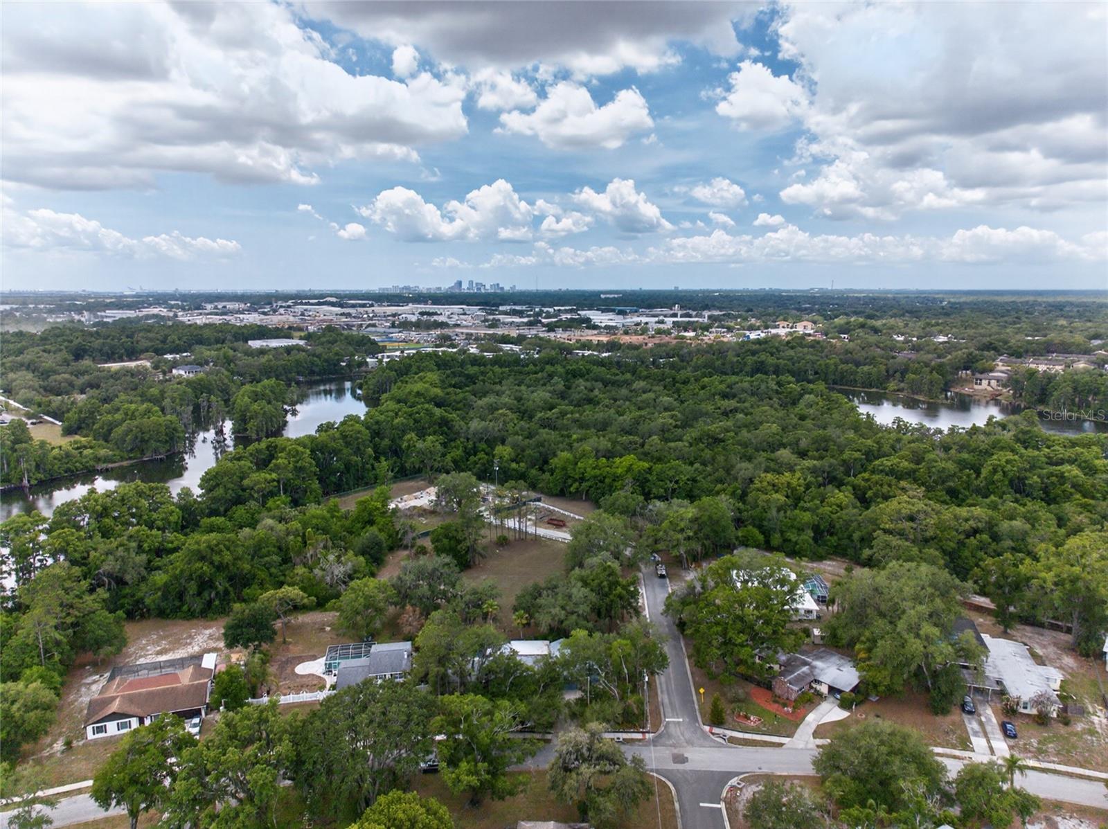 TEMPLE TERRACE RIVERSIDE SUBDI - Residential