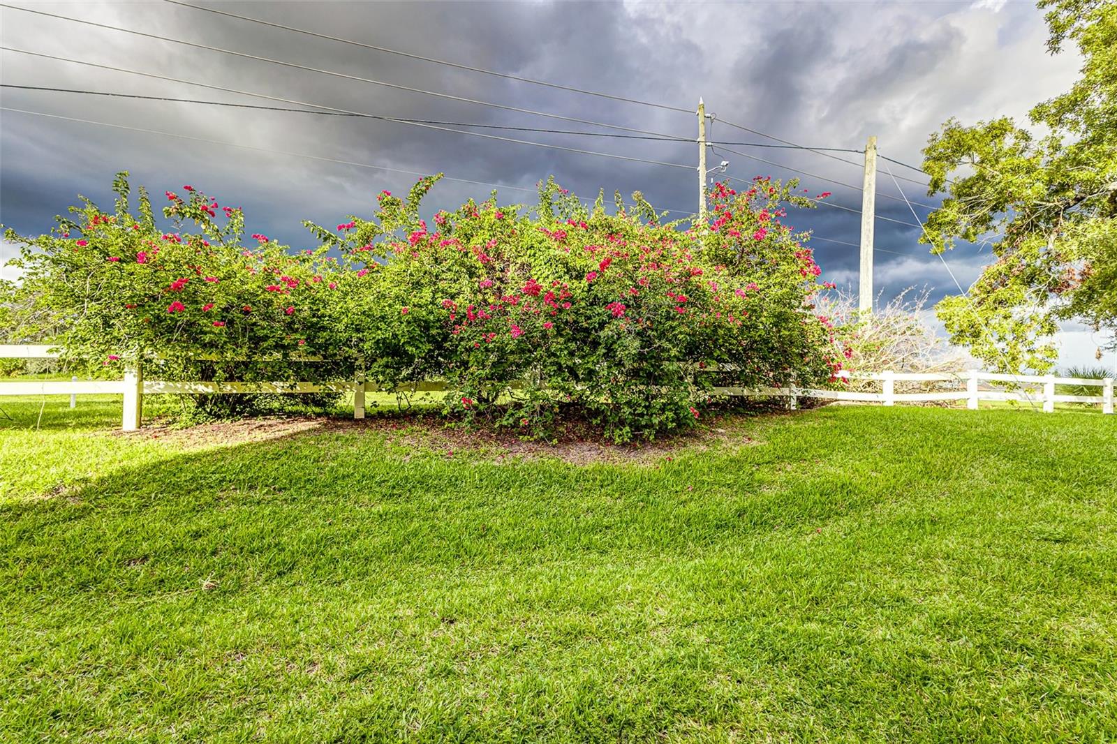 LAKE MARION GOLF RESORT CONDO - Residential
