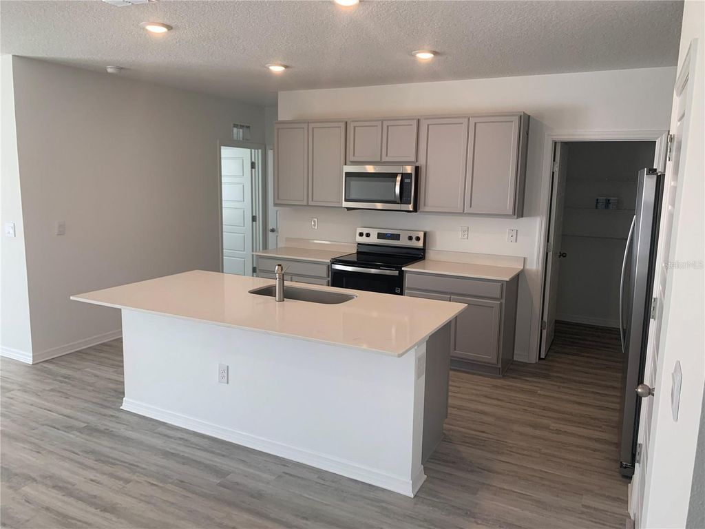 Photo of 3425 Nettle Loop, Tavares, FL 32778 (MLS # O6392973)