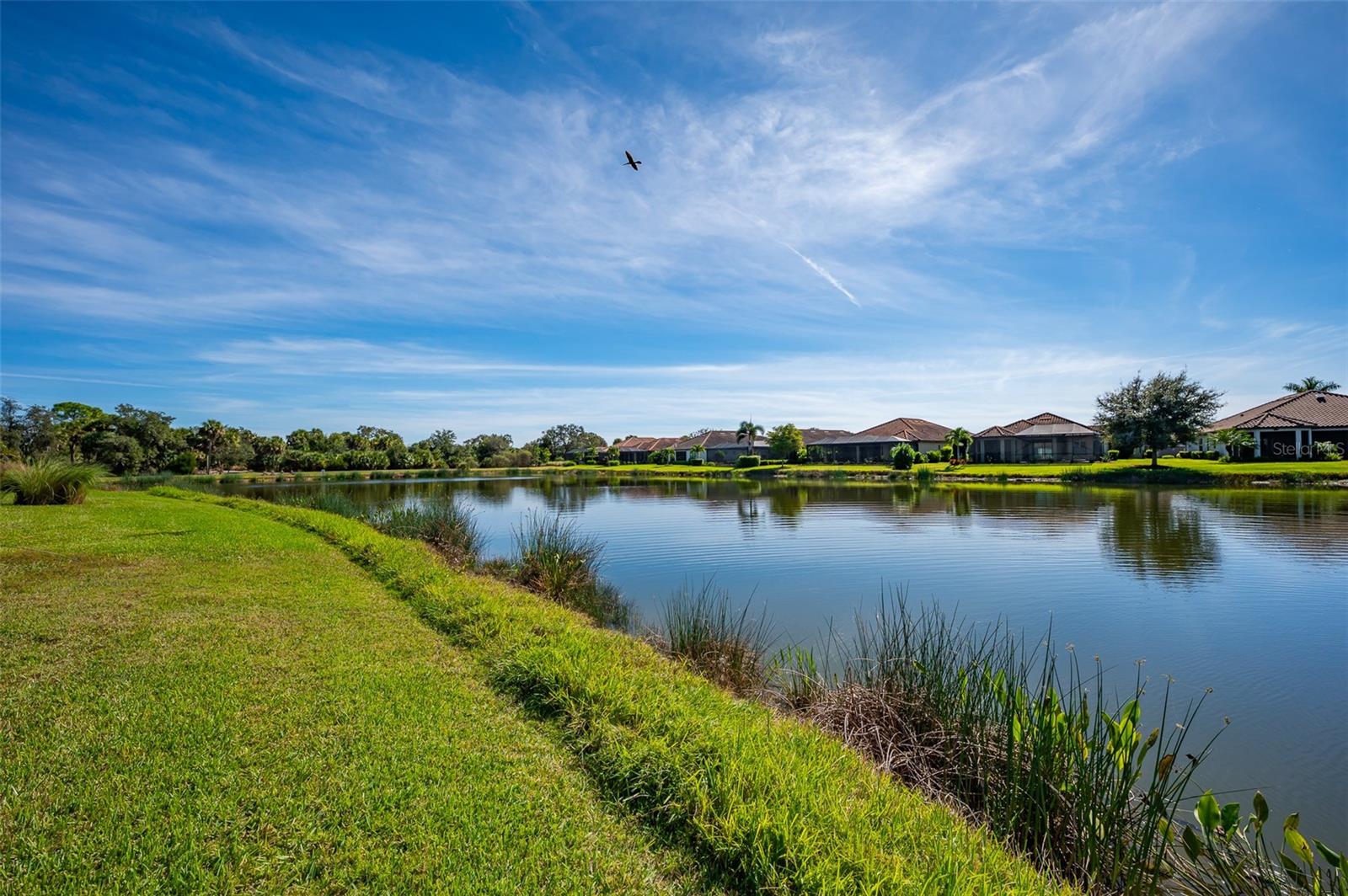 ESPLANADE ON PALMER RANCH - Residential