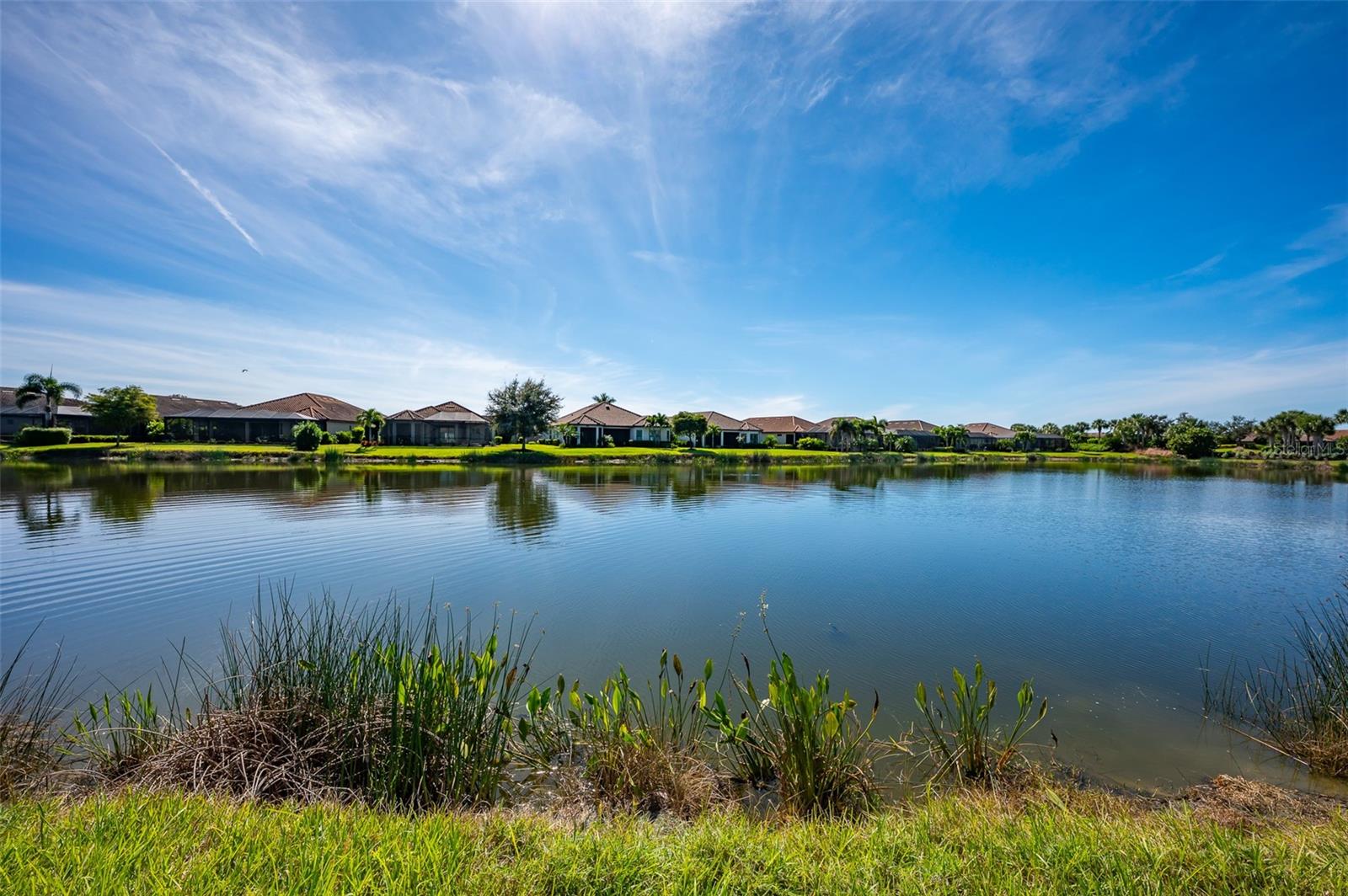 ESPLANADE ON PALMER RANCH - Residential