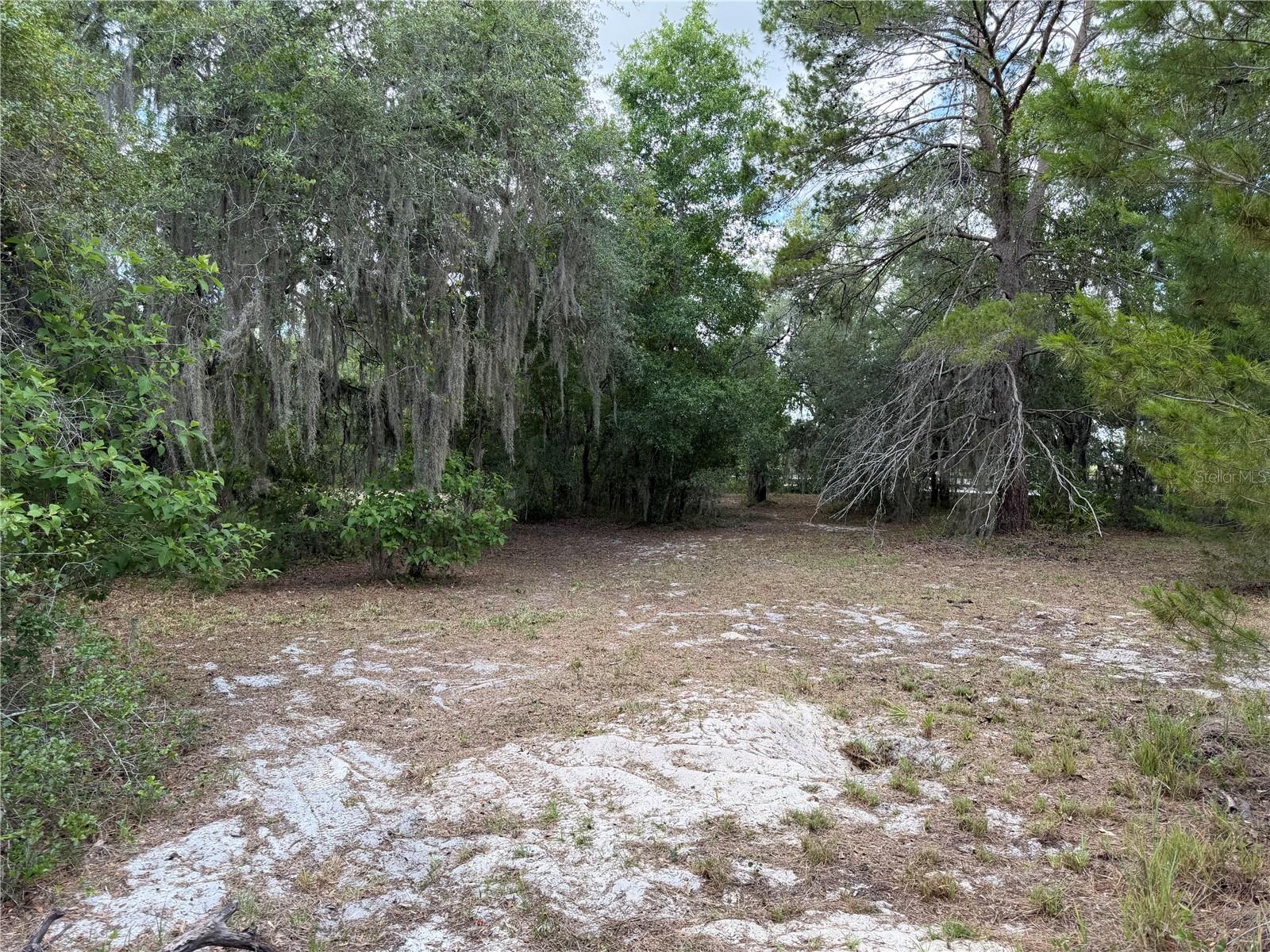 NOT IN SUBDIVISION - Residential