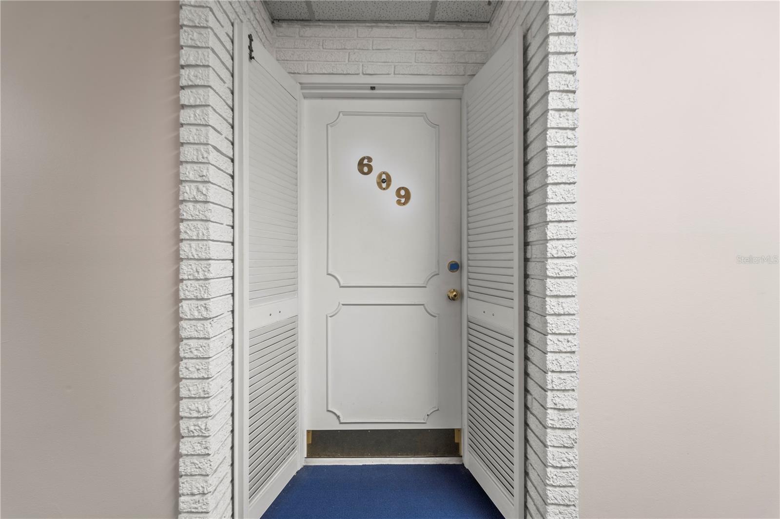 100 BLUFF VIEW DRIVE 609A