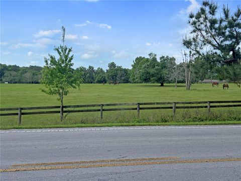 Tiny photo for 5378 W Highway 329, Reddick, FL 32686 (MLS # OM718585)