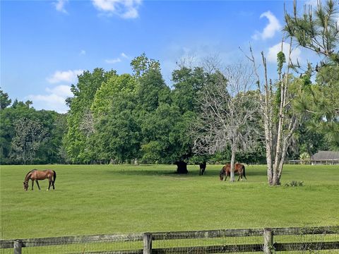 Tiny photo for 5378 W Highway 329, Reddick, FL 32686 (MLS # OM718585)