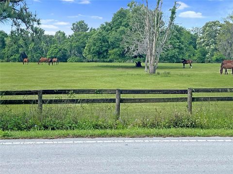 Tiny photo for 5378 W Highway 329, Reddick, FL 32686 (MLS # OM718585)