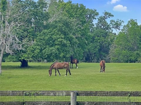 Tiny photo for 5378 W Highway 329, Reddick, FL 32686 (MLS # OM718585)