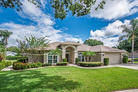 Photo of 4904 Breyer Wood Court, Valrico, FL 33596 (MLS # TB8435741)