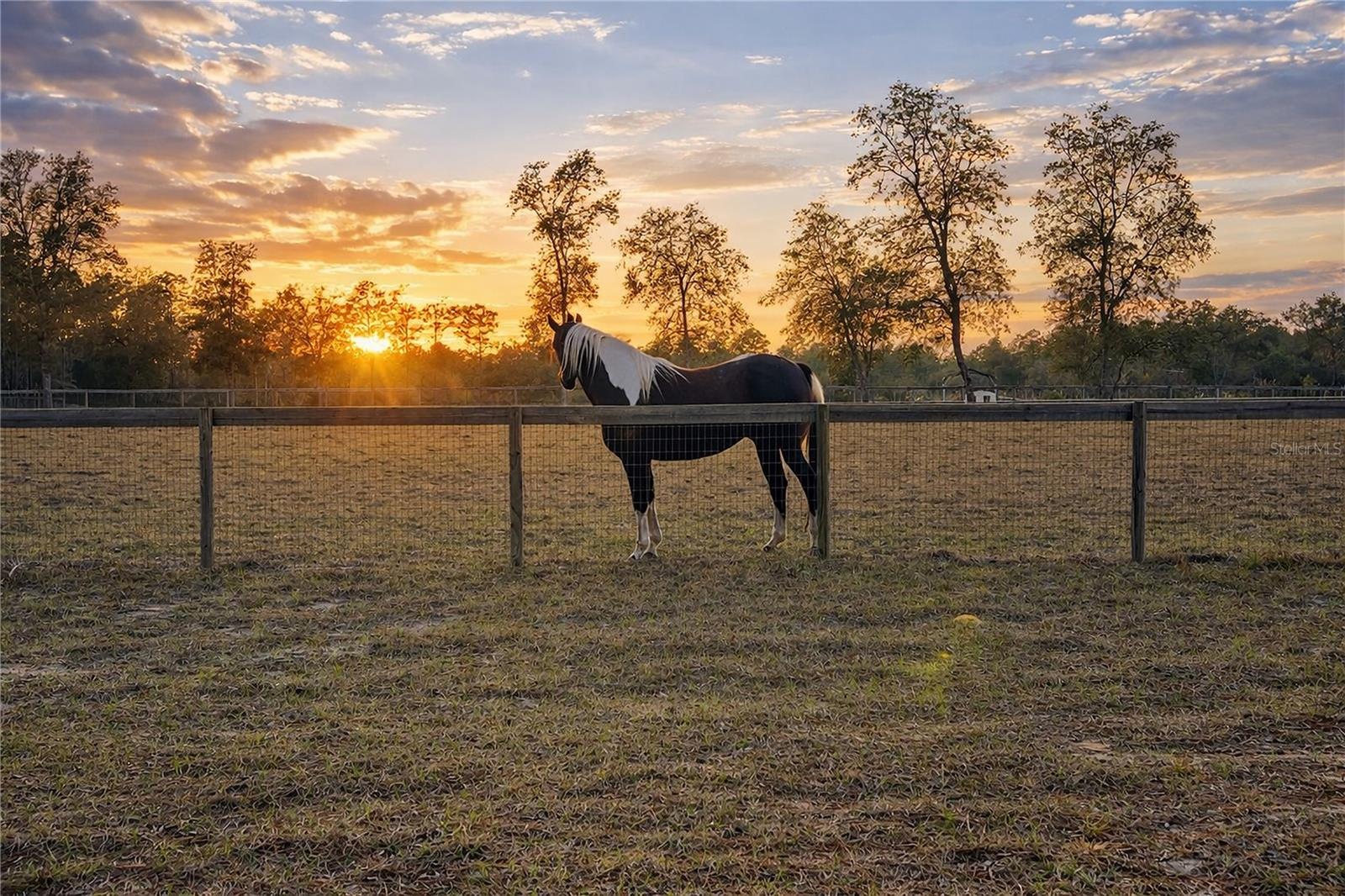 RAINBOW LAKES ESTATE - Land