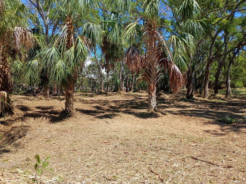 Photo of 145th Lane, Largo, FL 33774 (MLS # TB8530764)