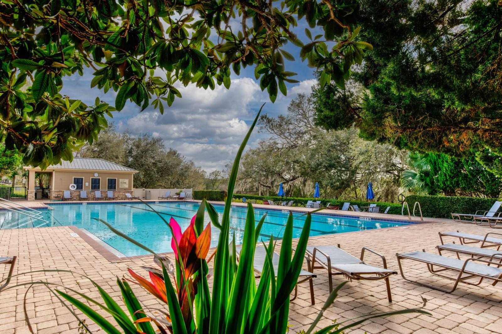 SULLIVAN RANCH REP SUB - Residential