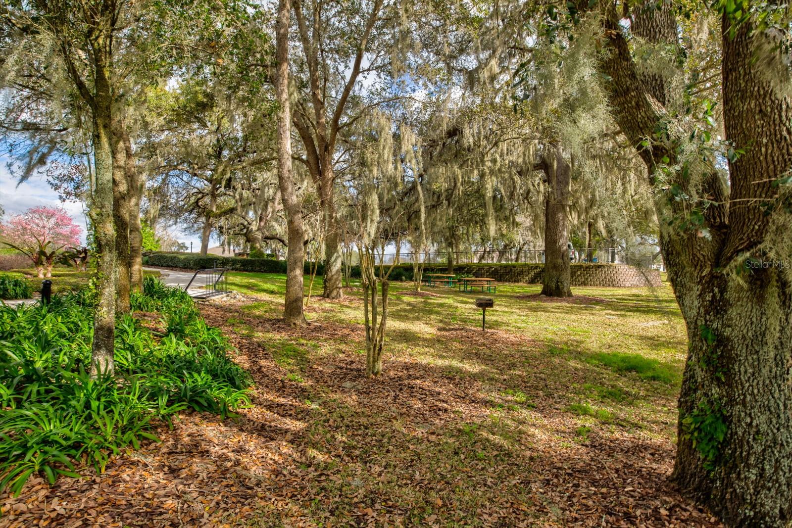 SULLIVAN RANCH REP SUB - Residential