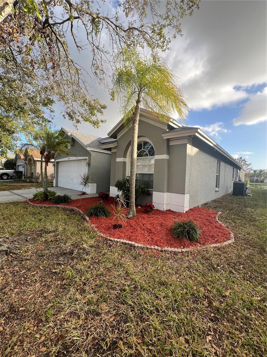 10251 OASIS PALM DRIVE