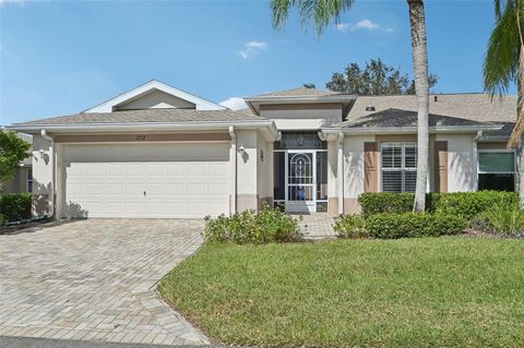 A home in SUN CITY CENTER