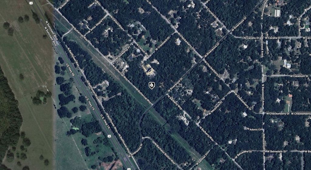 Photo of 8783 N Buttercup Way, Crystal River, FL 34428 (MLS # A4671153)