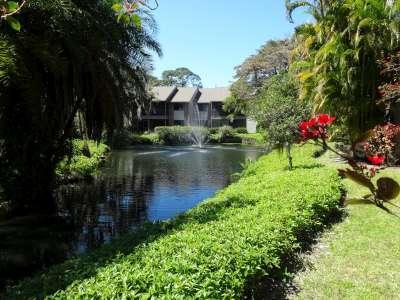 PELICAN COVE XVI - Residential