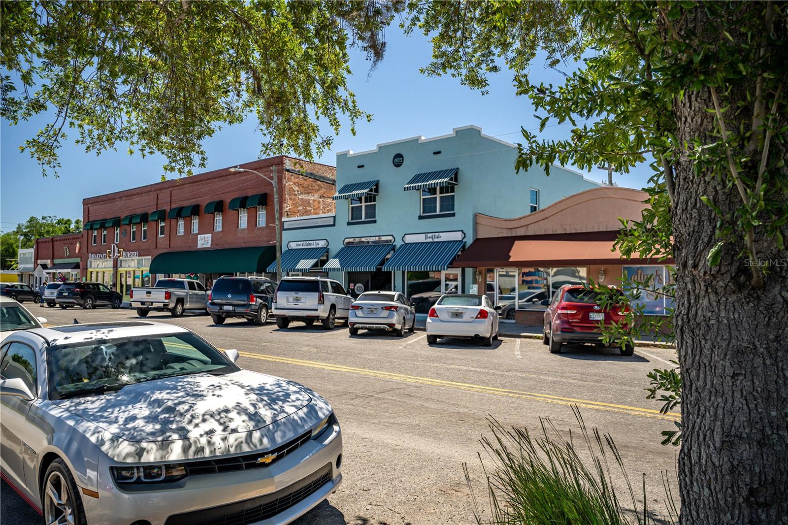 PALMETTO - Residential