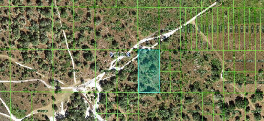 Vacant 1.25-acre parcel located in Frostproof, FL, zoned RC (Residential Conservation). Property is not located in a subdivision and no HOA. Area features dirt road access and a rural setting, offering privacy and space. Buyer to perform all due diligence regarding zoning, land use, utilities, access, environmental considerations, and building requirements. Property sold as-is.