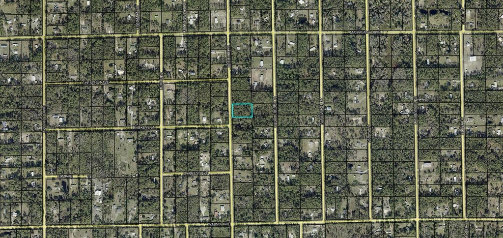 Photo of 1689 Beech Boulevard, Bunnell, FL 32110 (MLS # FC322193)