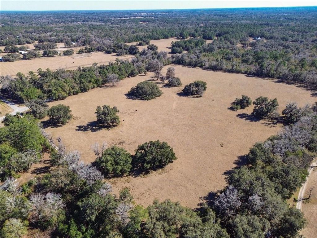 Photo of Tbd Hwy 329, Micanopy, FL 32667 (MLS # GC536882)