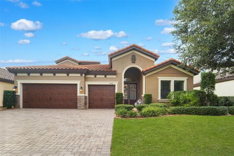 12718 BURNS DRIVE ODESSA FL 33556