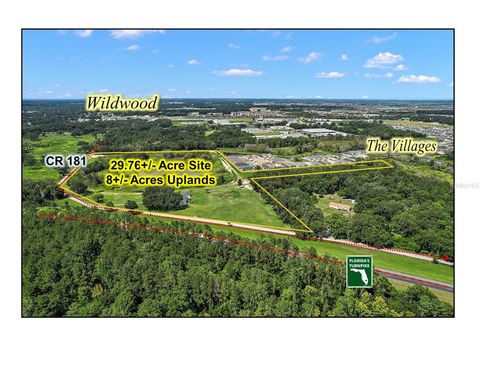 Tiny photo for 4102 County Road 181, Wildwood, FL 34785 (MLS # G5074217)