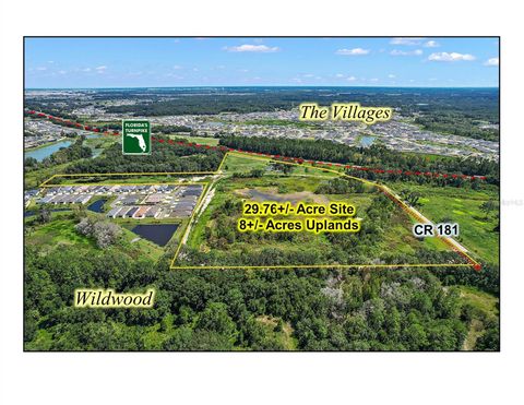 Tiny photo for 4102 County Road 181, Wildwood, FL 34785 (MLS # G5074217)