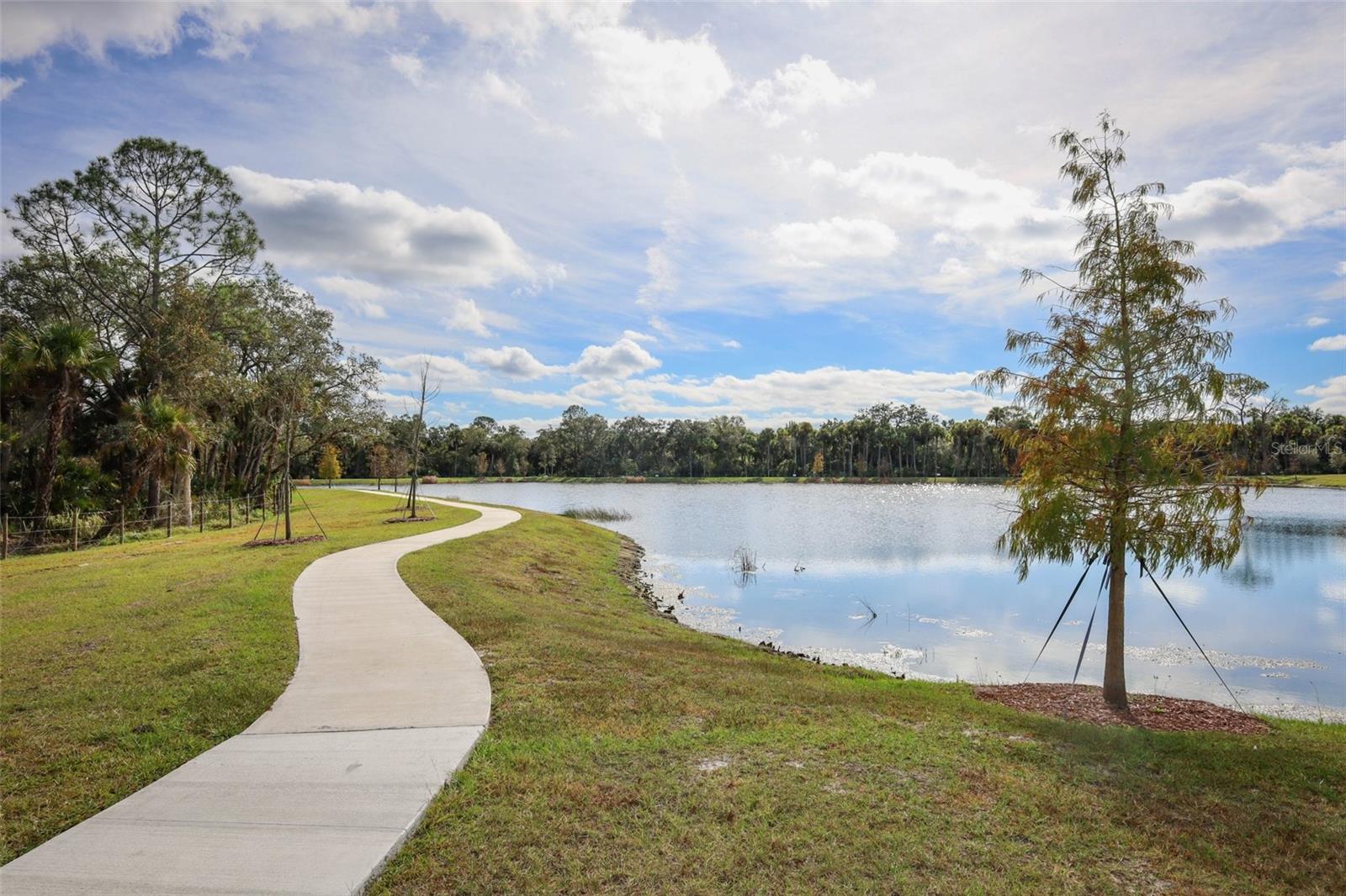 ADAMSON CRK PH ONE-C - Residential