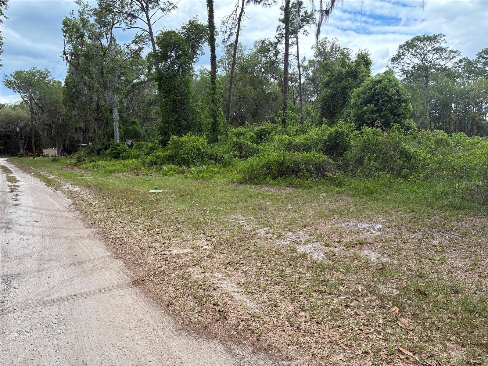LAKE BUCKHORN CAMPSITES - Land