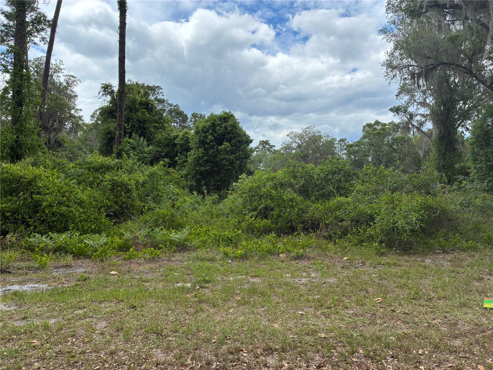 LAKE BUCKHORN CAMPSITES - Land