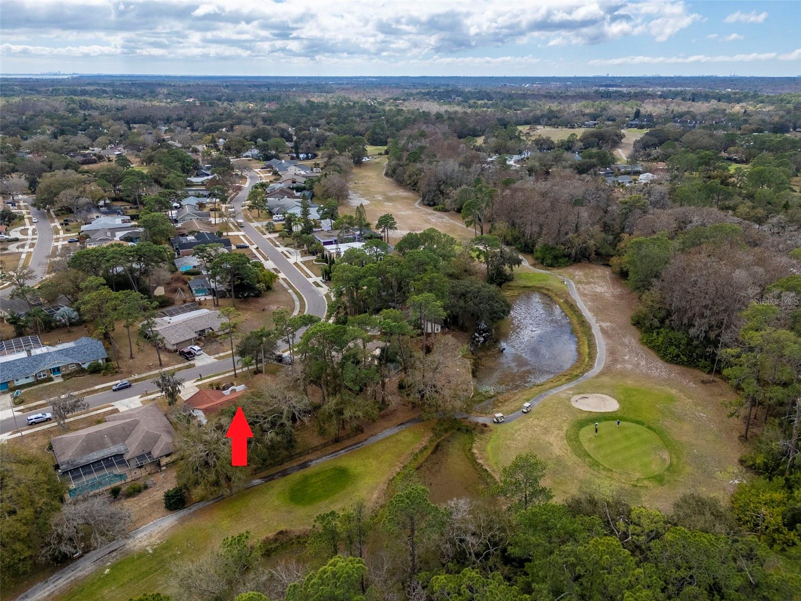 TARPON WOODS THIRD ADD - Residential