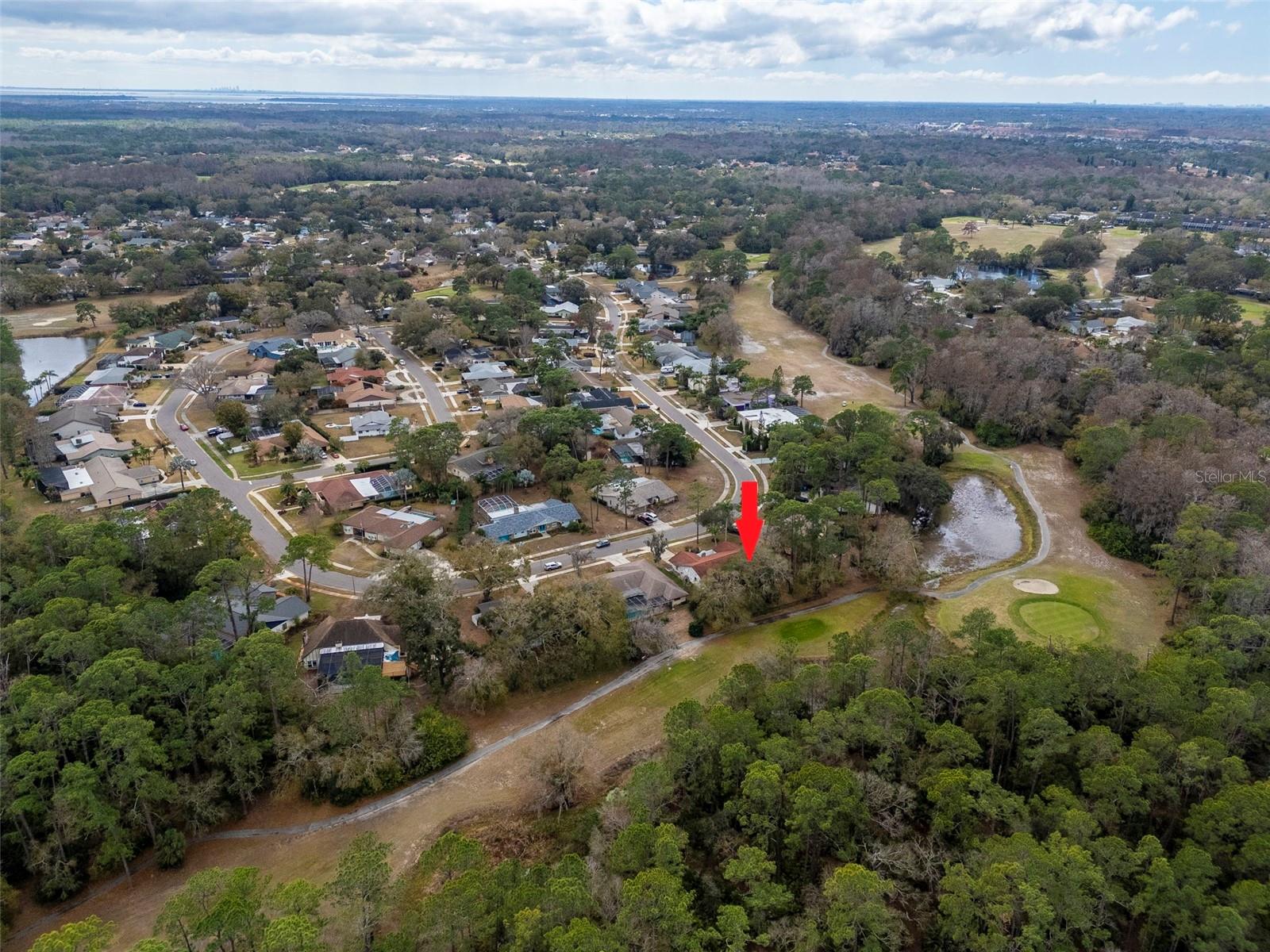 TARPON WOODS THIRD ADD - Residential