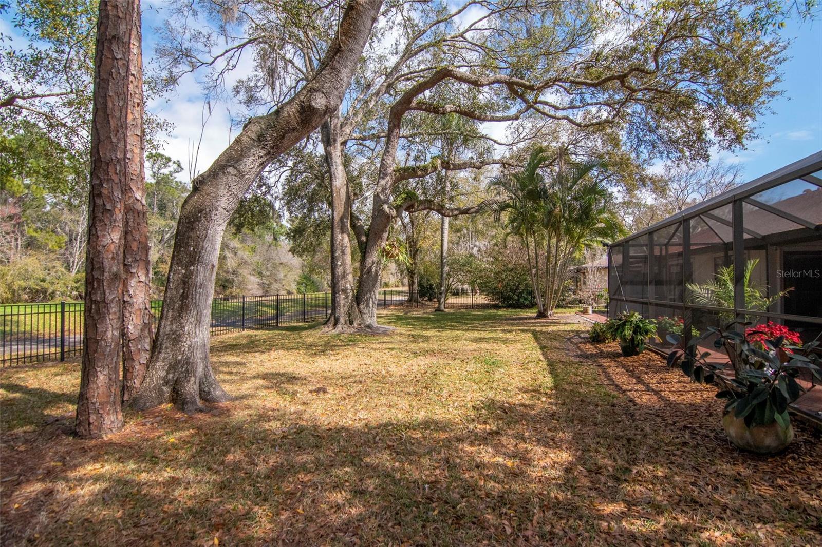 TARPON WOODS THIRD ADD - Residential