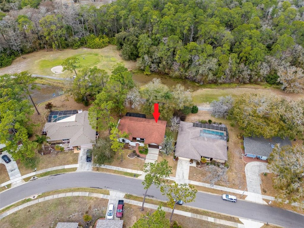 Photo of 2240 Toniwood Lane, Palm Harbor, FL 34685 (MLS # TB8476812)